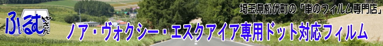�u�Ԃ̃t�B�����₳��v�m�A�E���H�N�V�[�E�G�X�N�A�C�A��p�h�b�g�Ή��t�B����