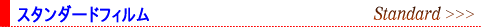�X�^���_�[�h�t�B����