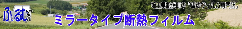 �u�Ԃ̃t�B�����₳��v�~���[�^�C�v�f�M�t�B����