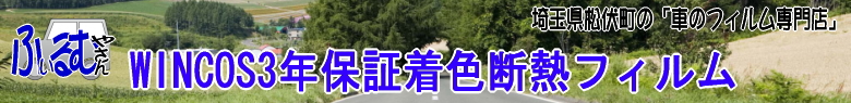 �u�Ԃ̃t�B�����₳��vWINCOS(�E�C���R�X)3�N�ۏؒ��F�f�M�t�B����